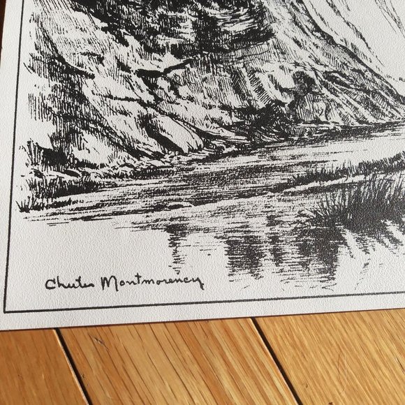 Québec Original Art Engraving Print, Chutes Montmorency Signed Richard, Canada - Picture 3 of 3